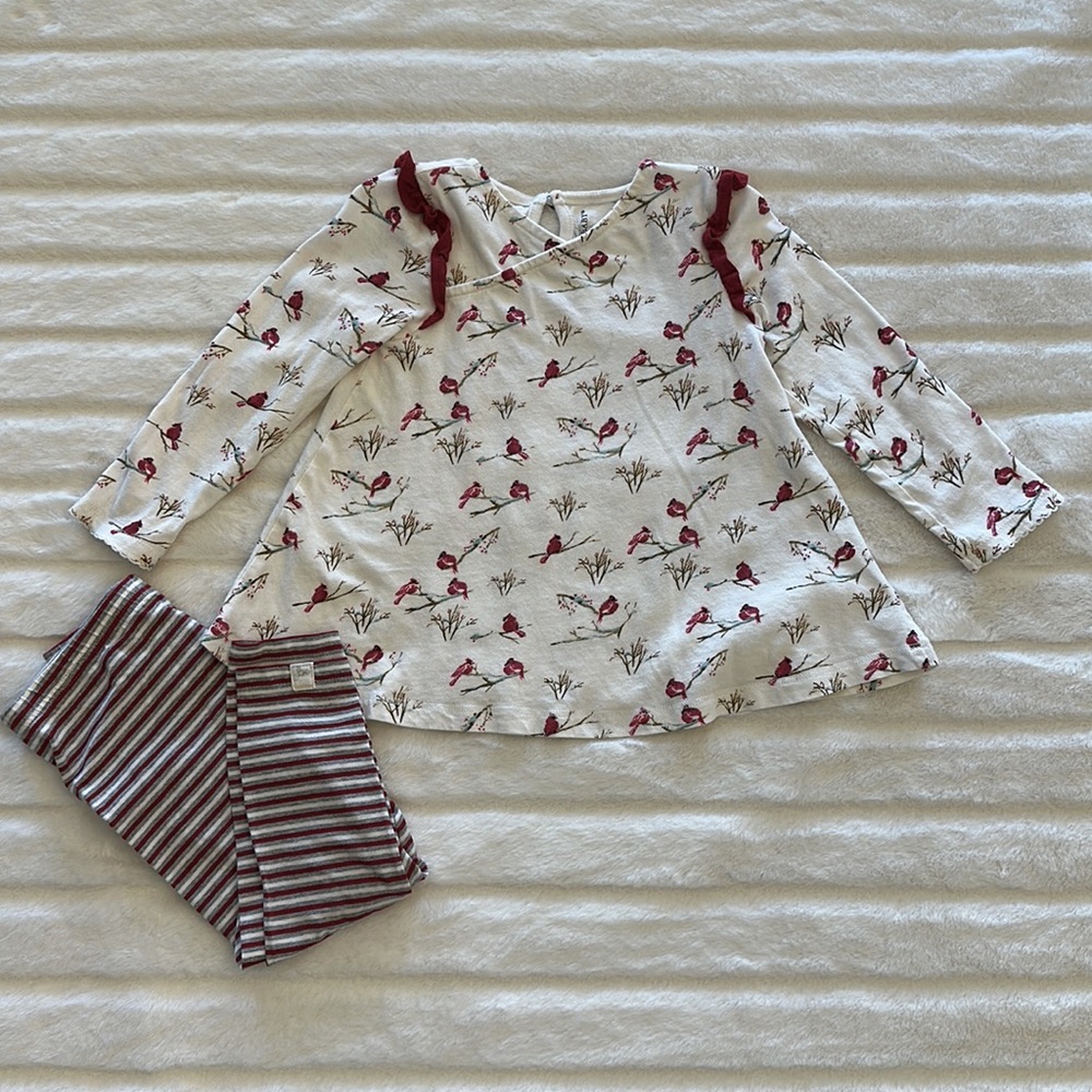 Burt’s Bees winter cardinal set 24 month